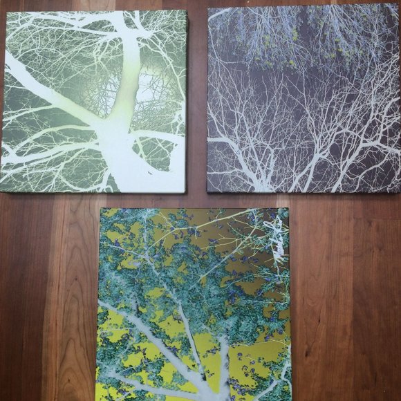 Authentic Matthew Lew, Ltd Ed. 4 piece art installation: "Through the Trees" - Picture 5 of 8